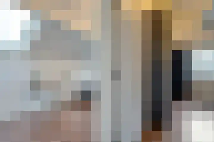 Eikenlaan 4 Nieuwleusen thumbnail 46