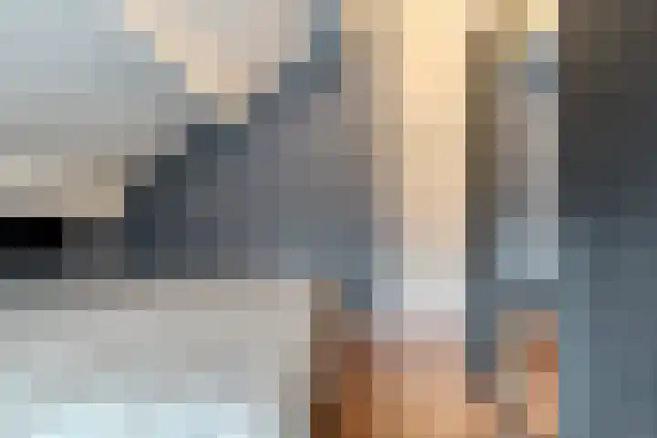 Eikenlaan 4 Nieuwleusen thumbnail 48