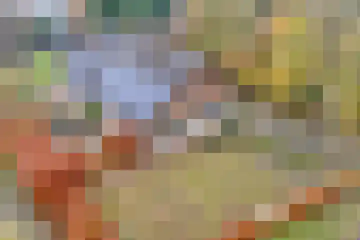 Eikenlaan 4 Nieuwleusen thumbnail 49