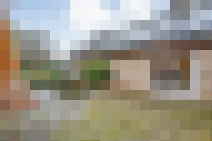 Eikenlaan 4 Nieuwleusen thumbnail 50
