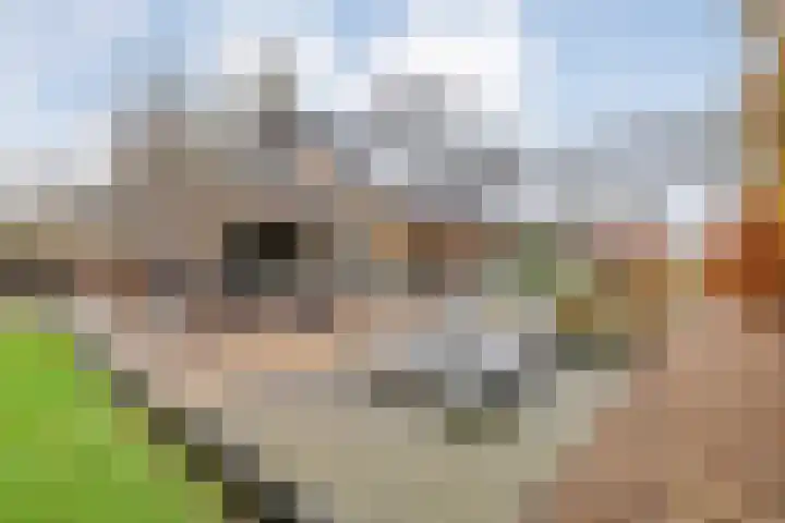 Eikenlaan 4 Nieuwleusen thumbnail 51