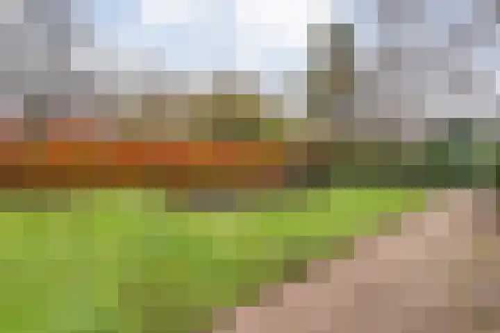 Eikenlaan 4 Nieuwleusen thumbnail 53