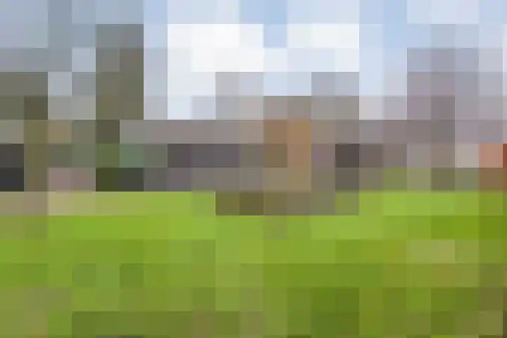 Eikenlaan 4 Nieuwleusen thumbnail 54