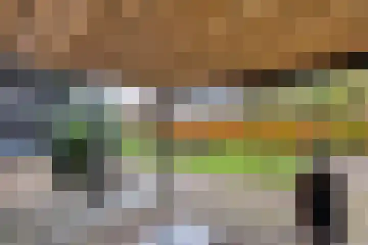 Eikenlaan 4 Nieuwleusen thumbnail 55