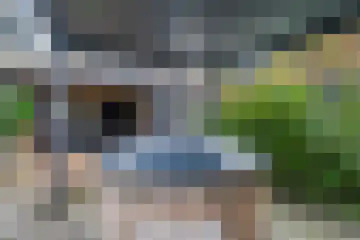 Eikenlaan 4 Nieuwleusen thumbnail 56