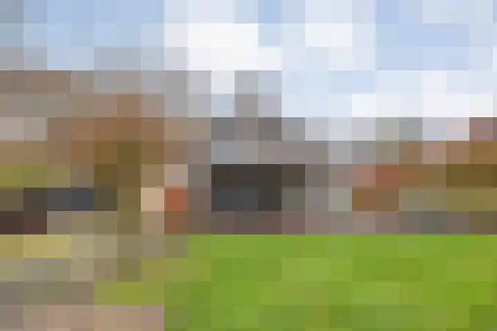 Eikenlaan 4 Nieuwleusen thumbnail 58