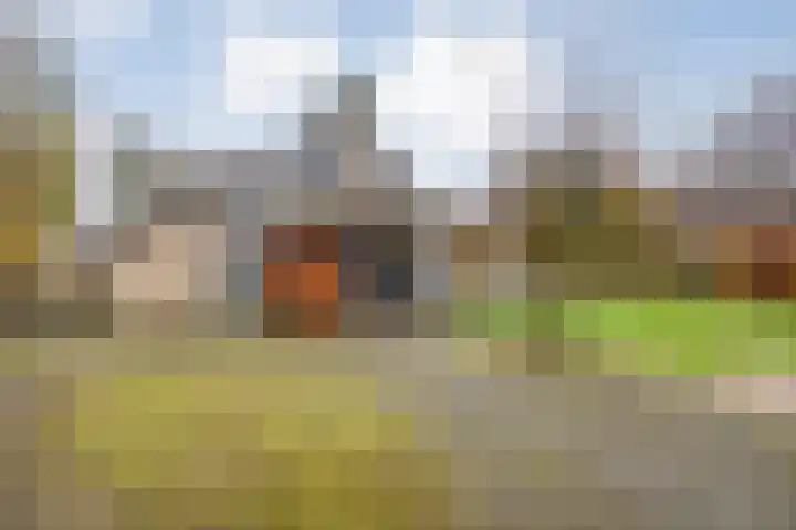 Eikenlaan 4 Nieuwleusen thumbnail 59