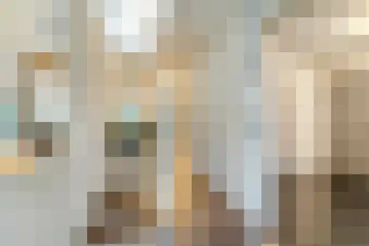 Eikenlaan 4 Nieuwleusen thumbnail 6