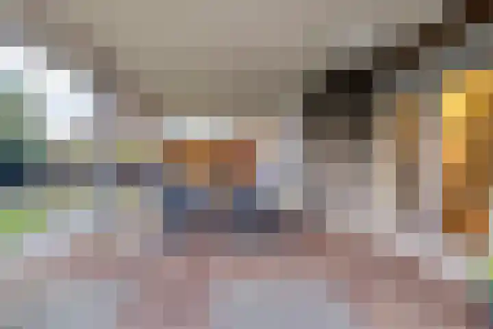 Eikenlaan 4 Nieuwleusen thumbnail 60