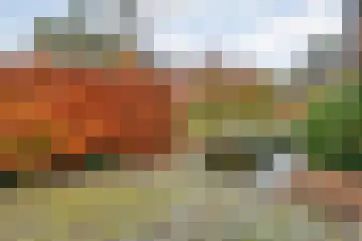 Eikenlaan 4 Nieuwleusen thumbnail 63
