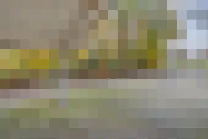 Eikenlaan 4 Nieuwleusen thumbnail 65