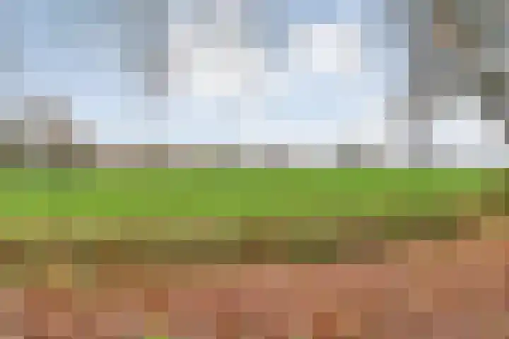 Eikenlaan 4 Nieuwleusen thumbnail 66