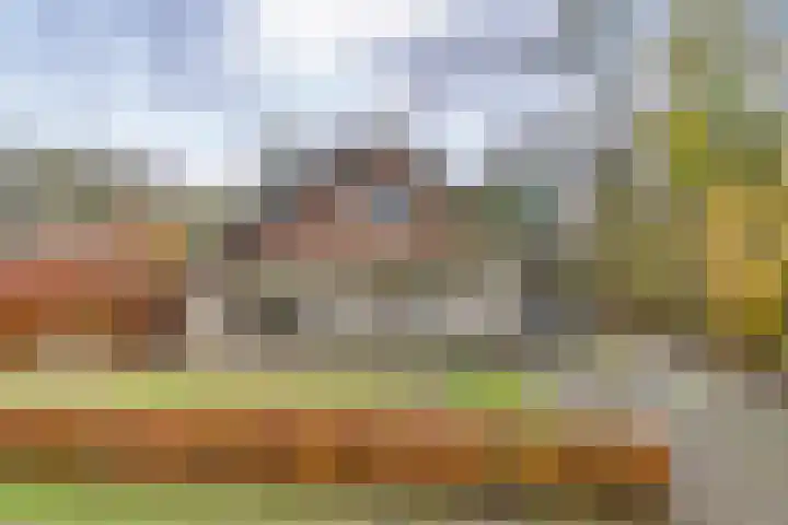 Eikenlaan 4 Nieuwleusen thumbnail 67