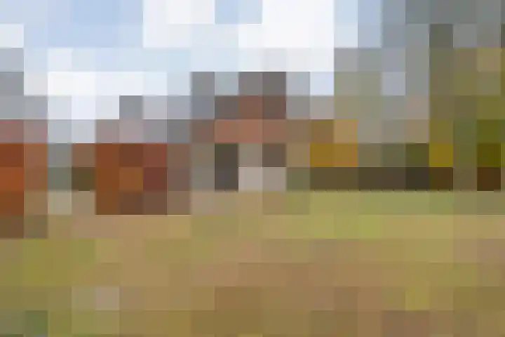 Eikenlaan 4 Nieuwleusen thumbnail 69