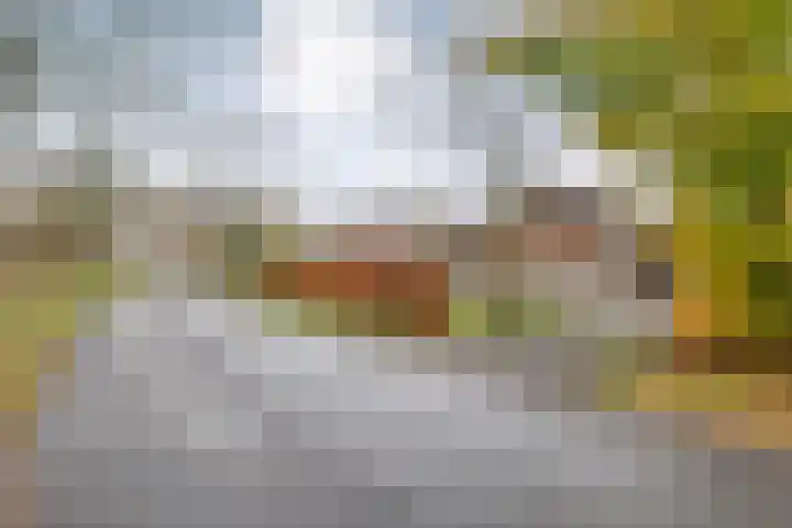 Eikenlaan 4 Nieuwleusen thumbnail 70