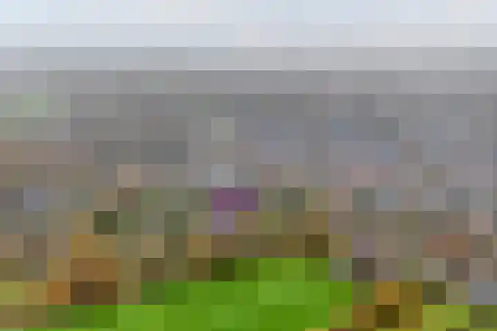 Eikenlaan 4 Nieuwleusen thumbnail 72
