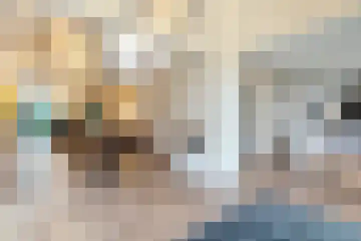 Eikenlaan 4 Nieuwleusen thumbnail 8