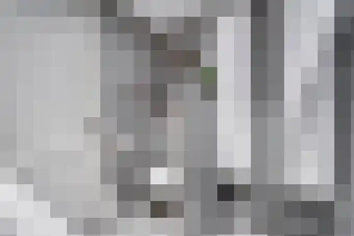 Eikenlaan 4 Voorschoten thumbnail 33
