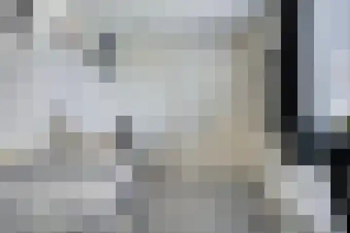Eikenlaan 4 Voorschoten thumbnail 37