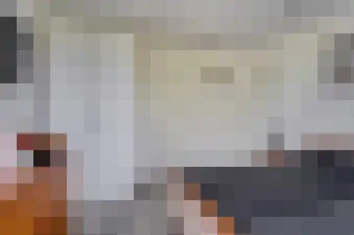 Eikenlaan 4 Voorschoten thumbnail 39