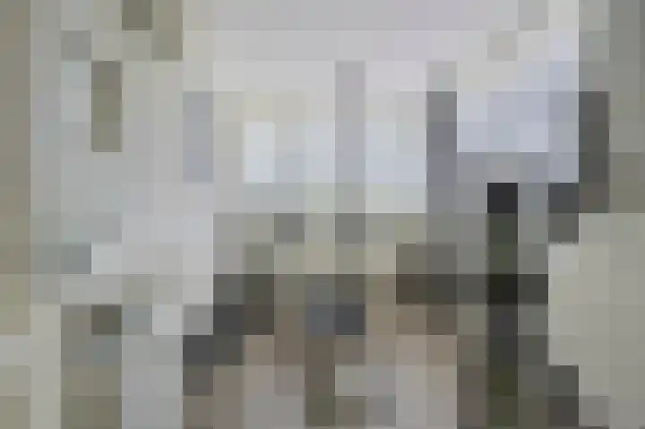 Eikenlaan 4 Voorschoten thumbnail 45