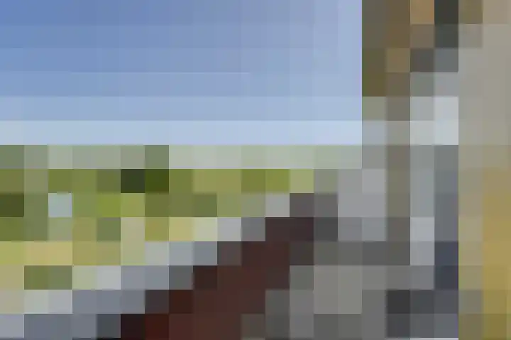 Eikenlaan 4 Voorschoten thumbnail 48