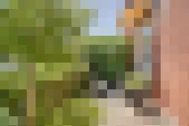 Eikenlaan 4 Voorschoten thumbnail 6