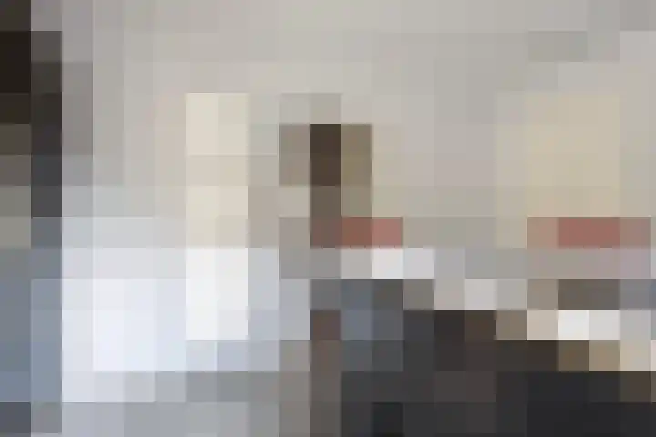 Eikenlaan 4 Vorden thumbnail 17