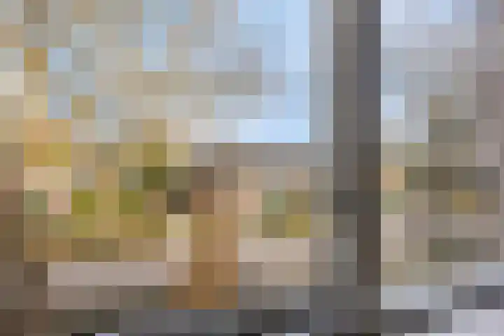 Eikenlaan 4 Vorden thumbnail 37