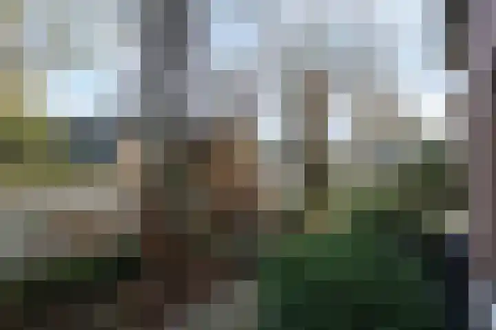 Eikenlaan 4 Vorden thumbnail 38