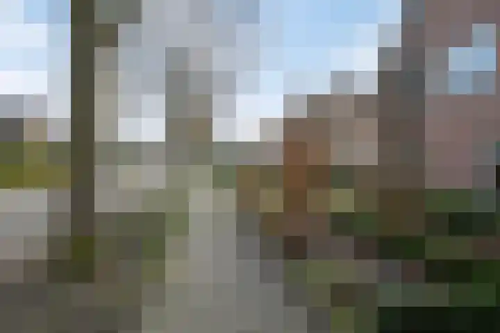 Eikenlaan 4 Vorden thumbnail 40