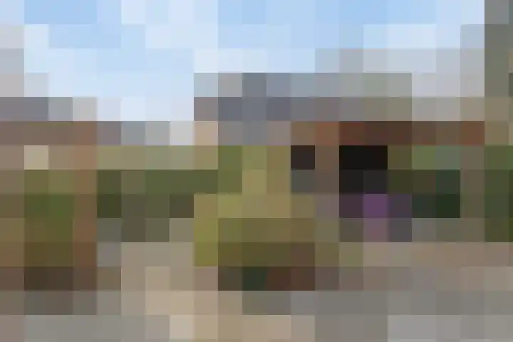 Eikenlaan 4 Vorden thumbnail 5