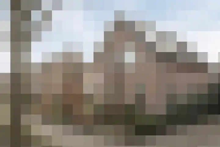 Eikenlaan 4 Vorden thumbnail 6