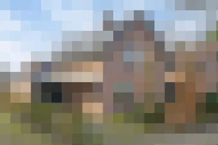 Eikenlaan 4 Vorden thumbnail 7