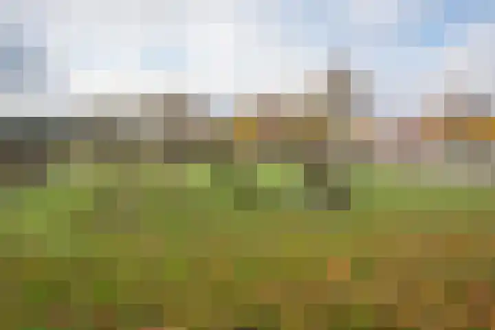 Eikenlaan 40 Maarn thumbnail 41