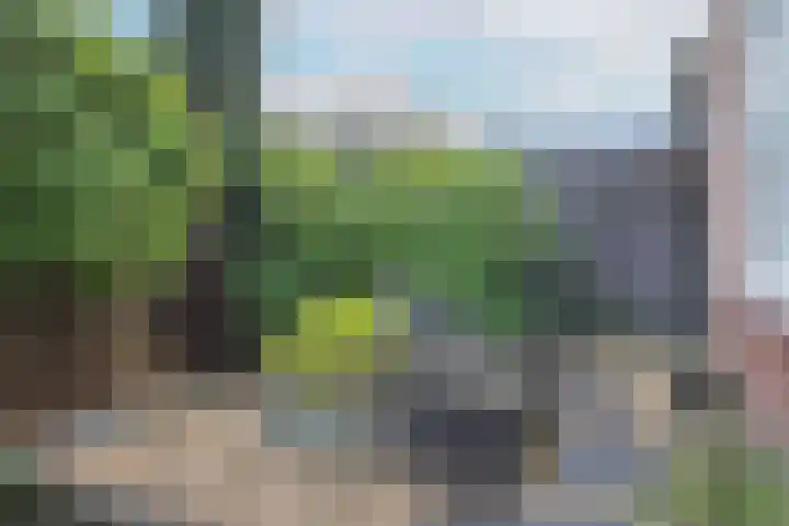 Eikenlaan 40 Maarn thumbnail 45