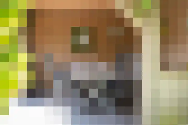 Eikenlaan 40 Ochten thumbnail 38