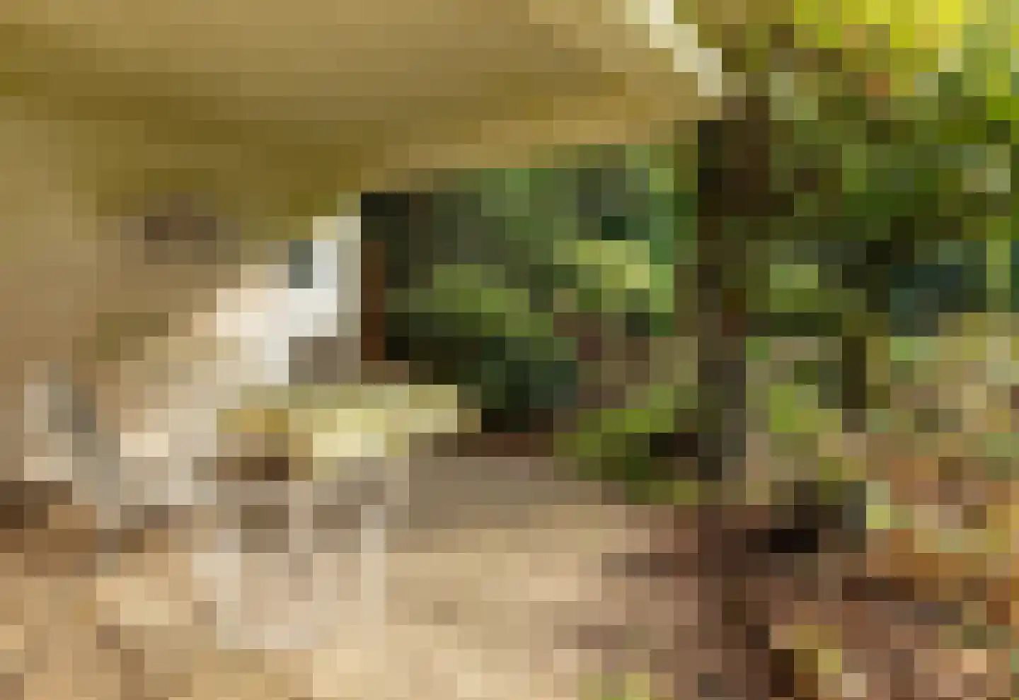 Eikenlaan 42 D Hilversum thumbnail 32