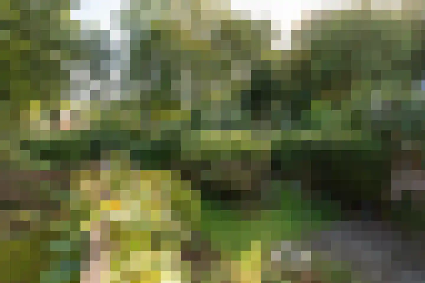 Eikenlaan 42 D Hilversum thumbnail 33