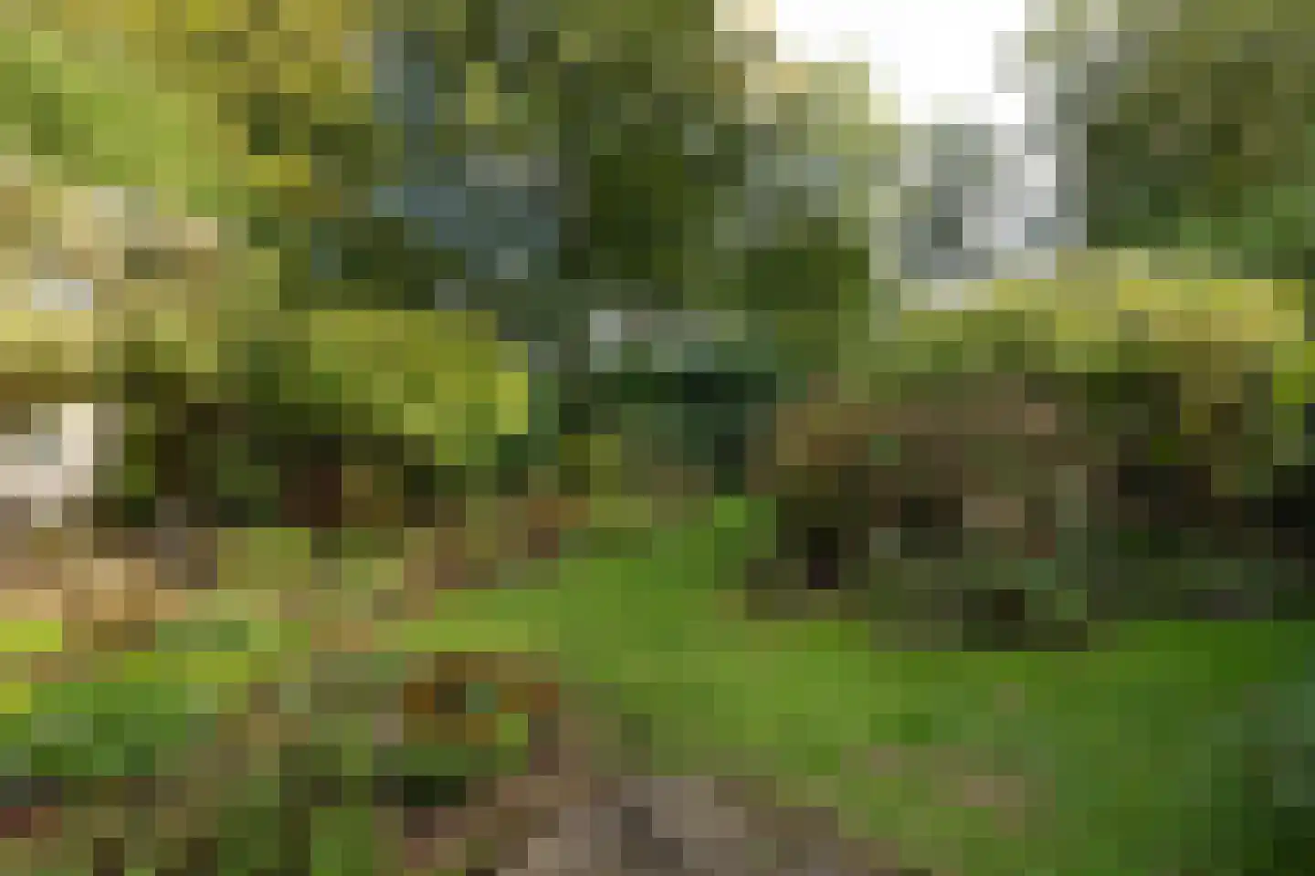 Eikenlaan 42 D Hilversum thumbnail 34