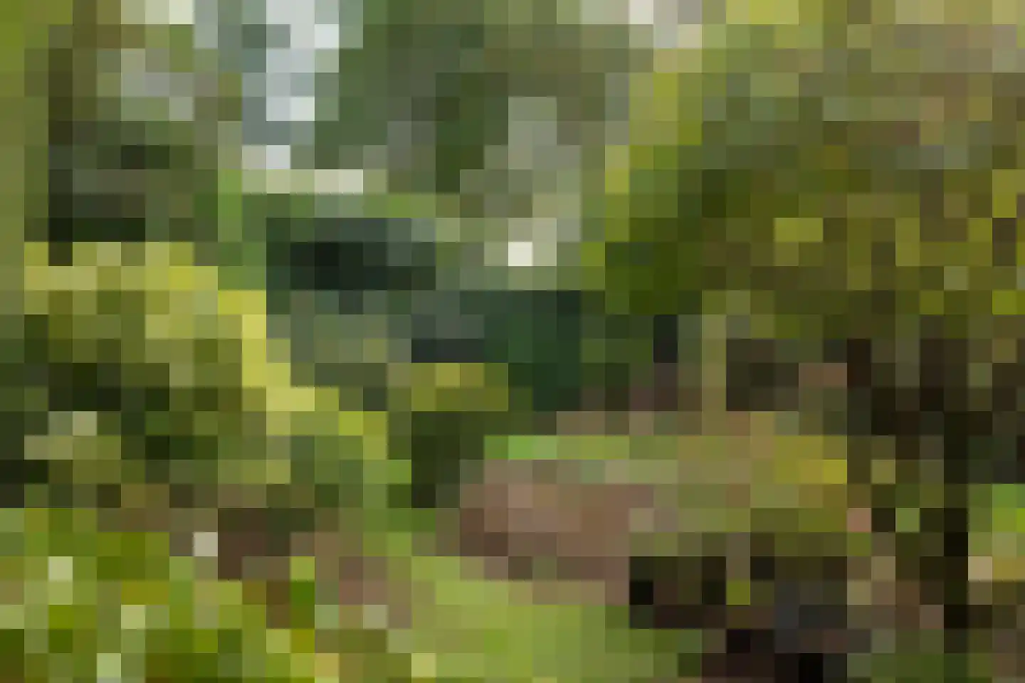 Eikenlaan 42 D Hilversum thumbnail 35