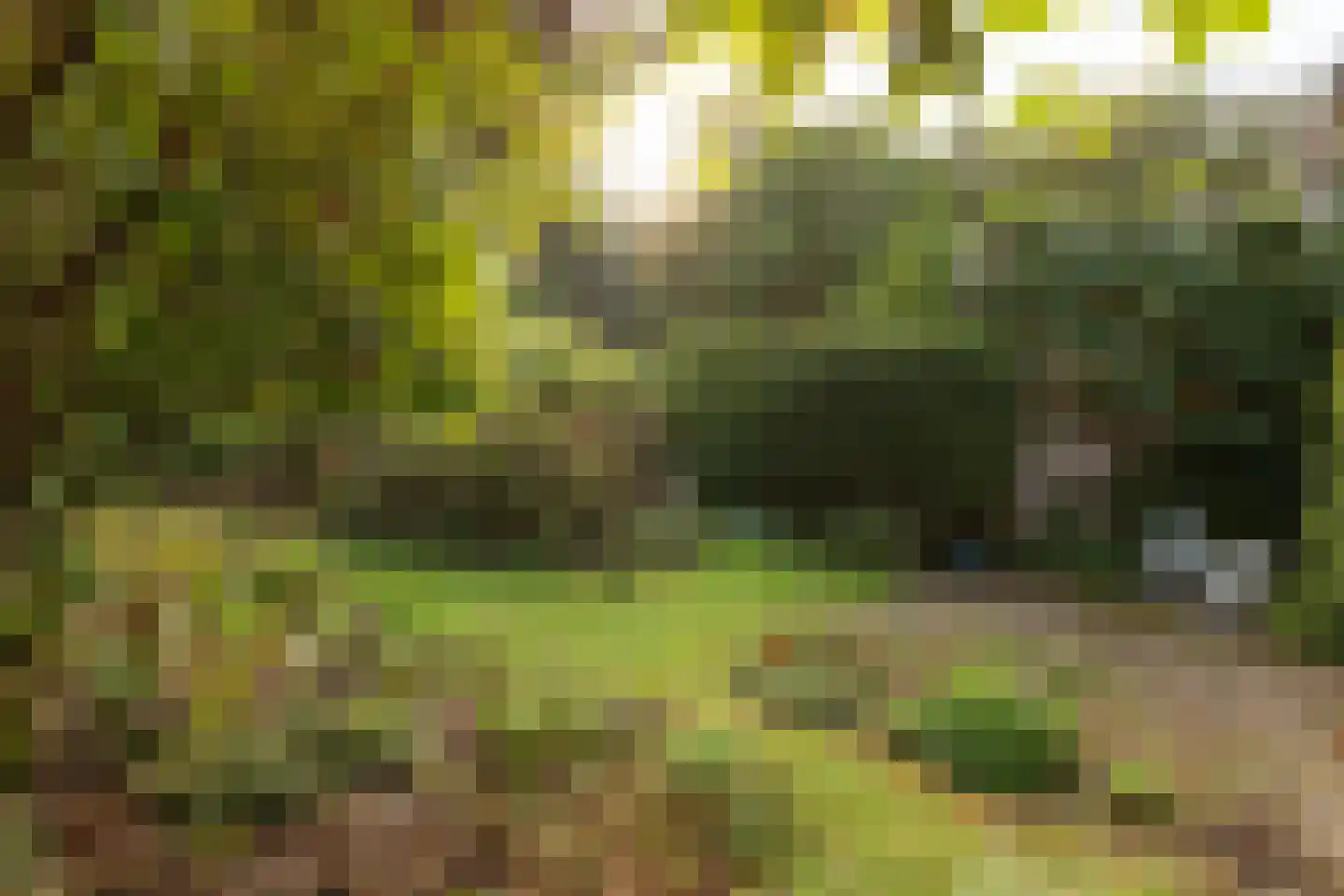 Eikenlaan 42 D Hilversum thumbnail 36