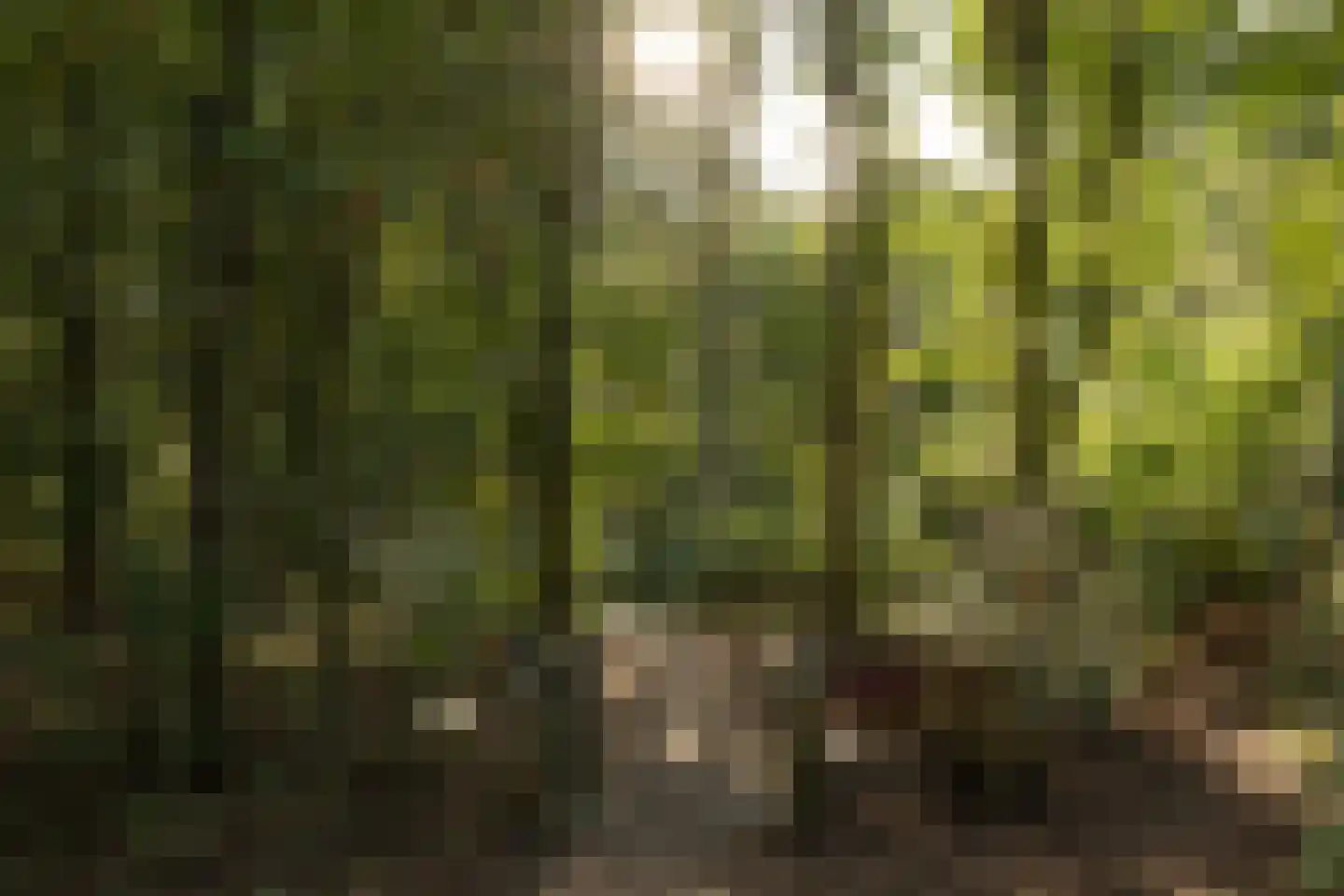 Eikenlaan 42 D Hilversum thumbnail 38