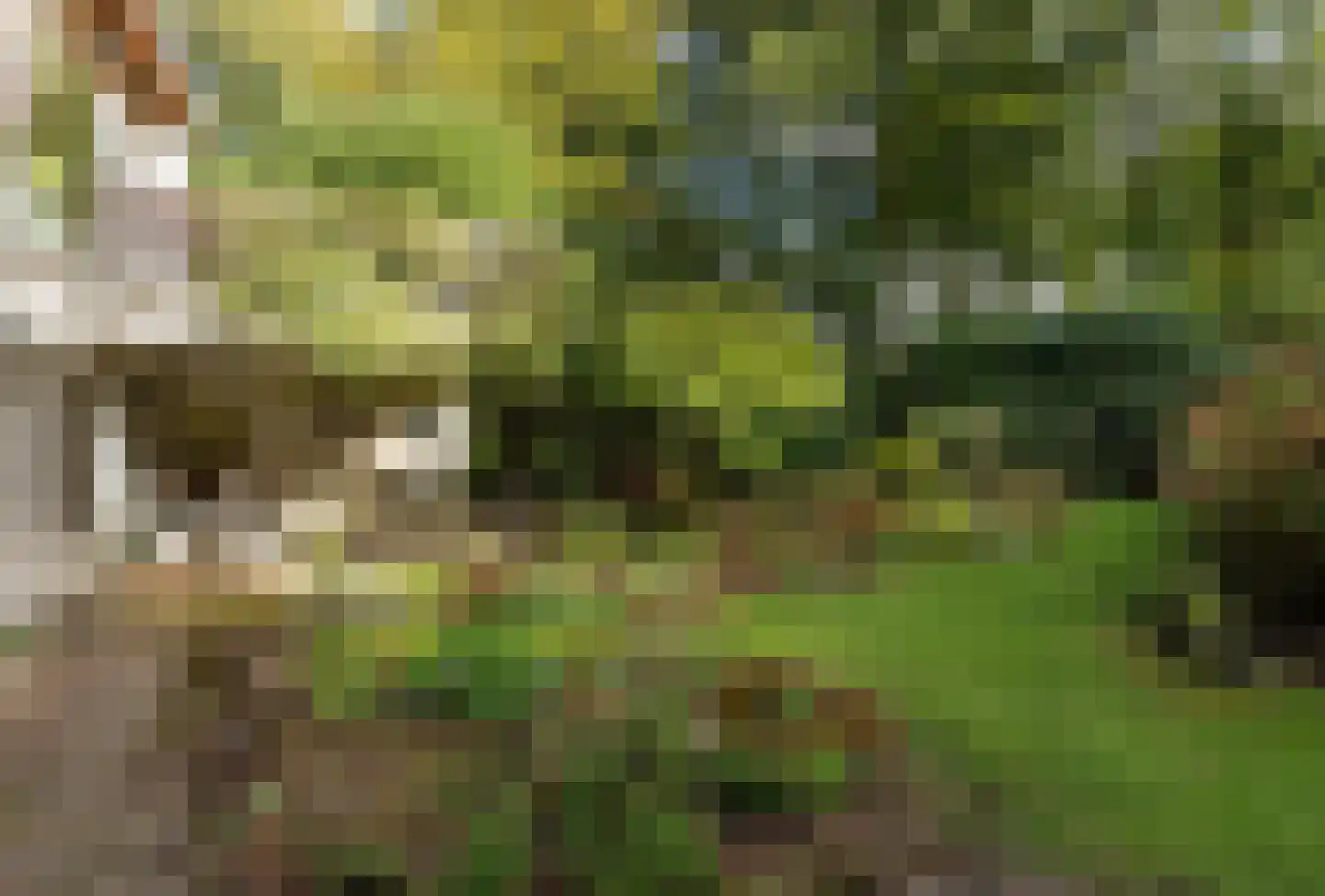 Eikenlaan 42 D Hilversum thumbnail 4