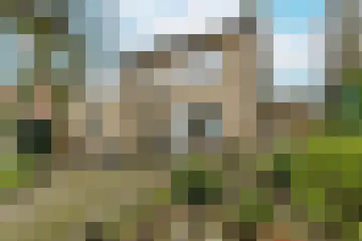 Eikenlaan 42 Zundert thumbnail 32