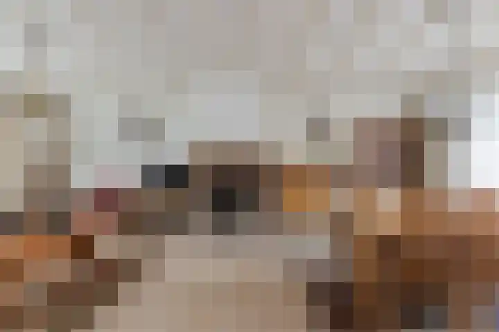 Eikenlaan 42 Zundert thumbnail 8