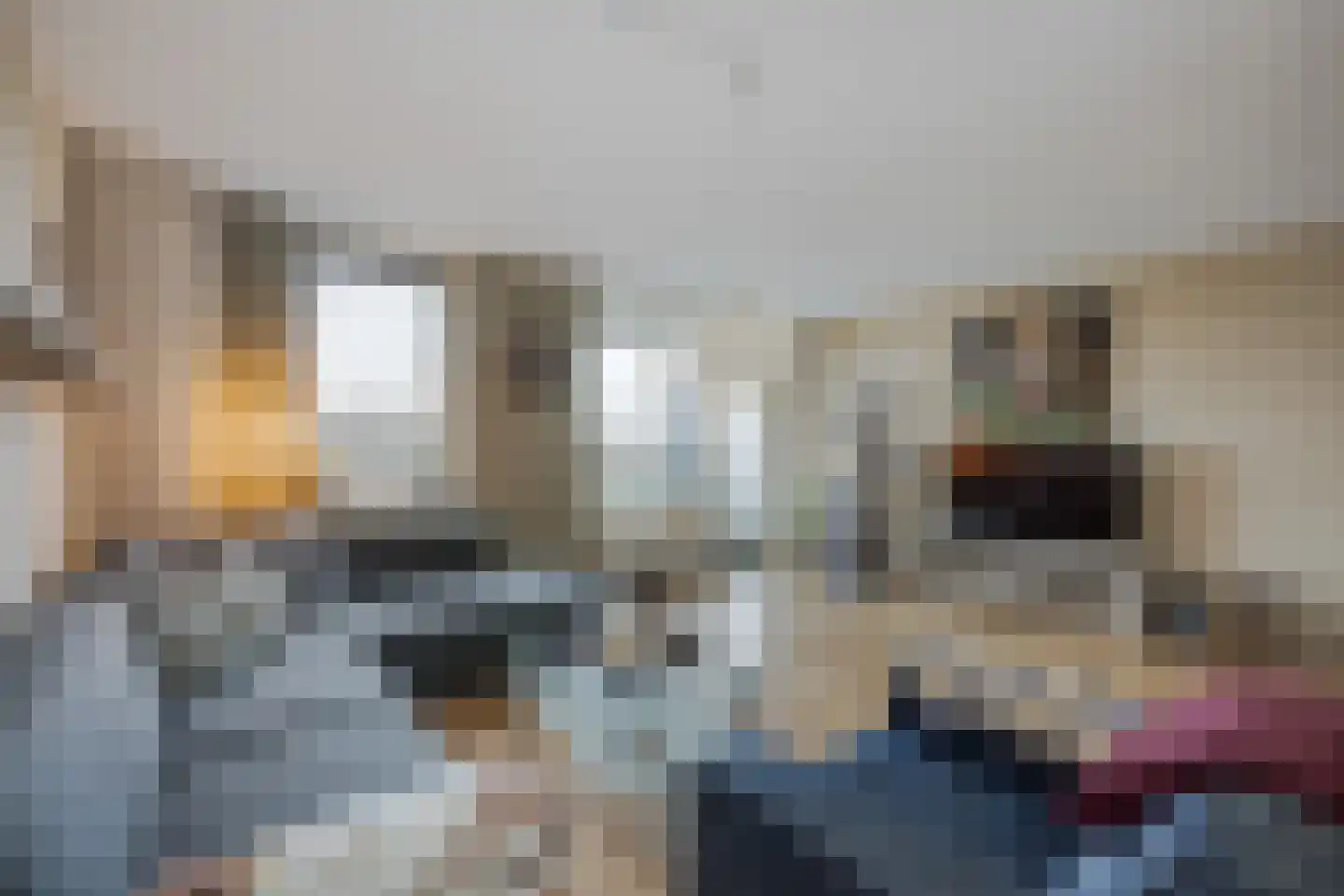 Eikenlaan 45 Voorschoten thumbnail 15