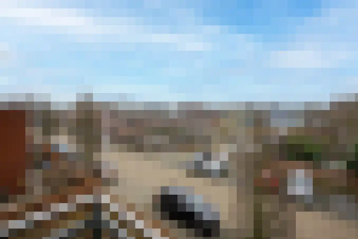 Eikenlaan 45 Voorschoten thumbnail 30