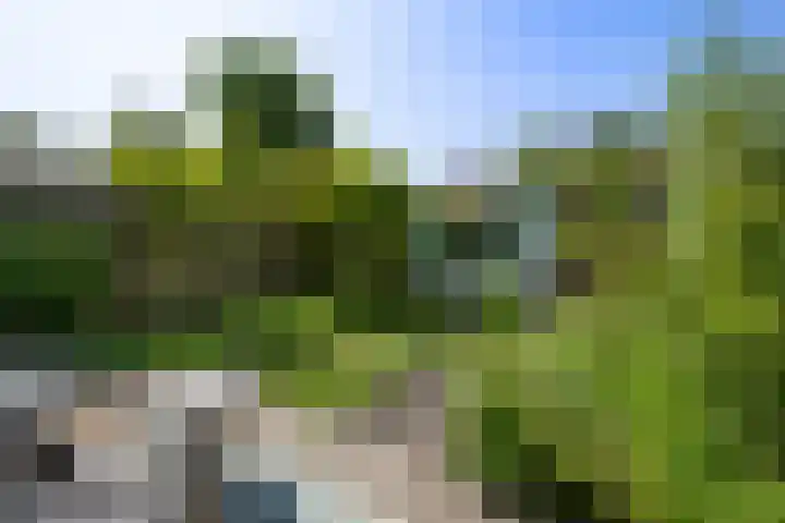 Eikenlaan 45 Zwanenburg thumbnail 21