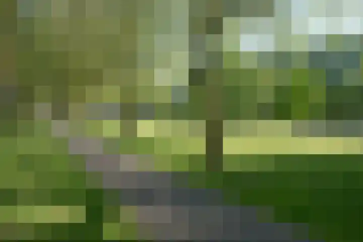 Eikenlaan 45 Zwanenburg thumbnail 53